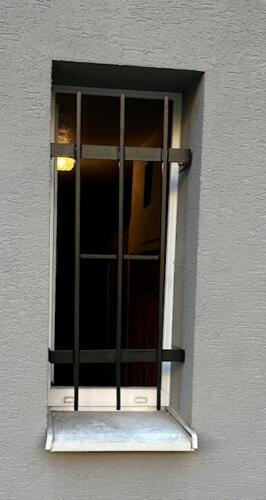 IMG 7617